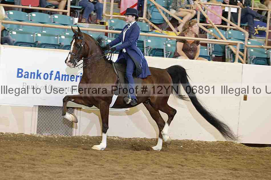 Proof 12yn_06891