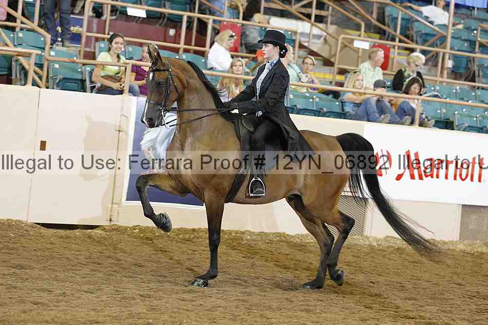 Proof 12yn_06892