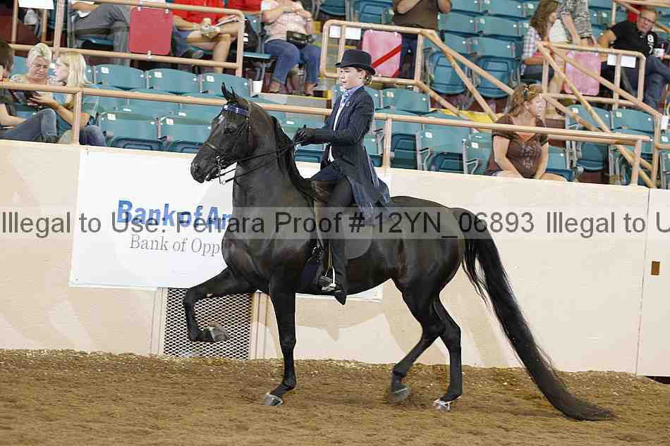 Proof 12yn_06893