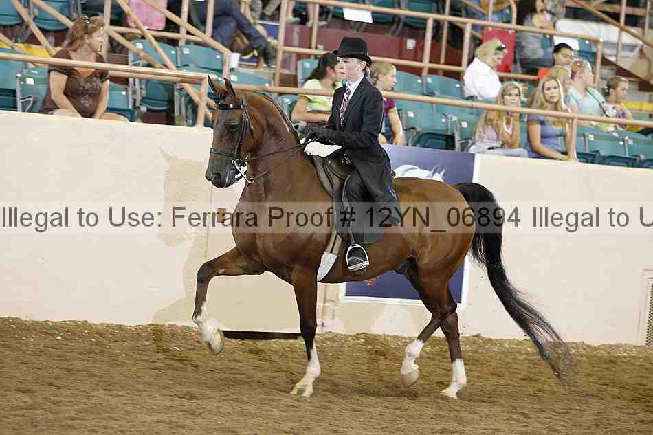 Proof 12yn_06894