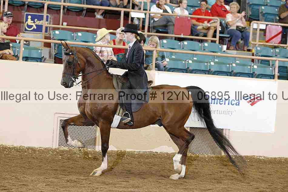 Proof 12yn_06895