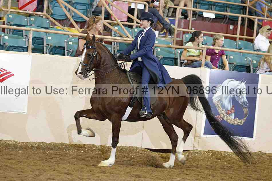 Proof 12yn_06896