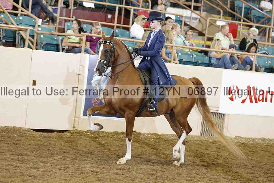 Proof 12yn_06897
