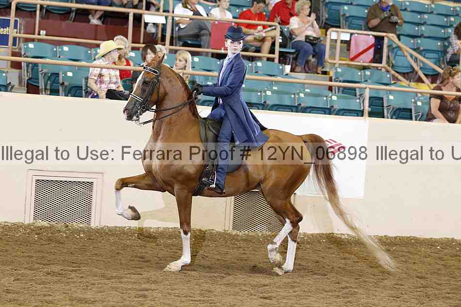 Proof 12yn_06898