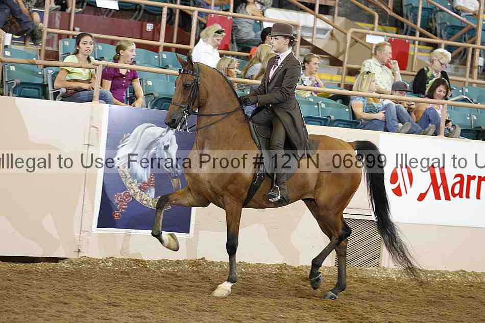 Proof 12yn_06899