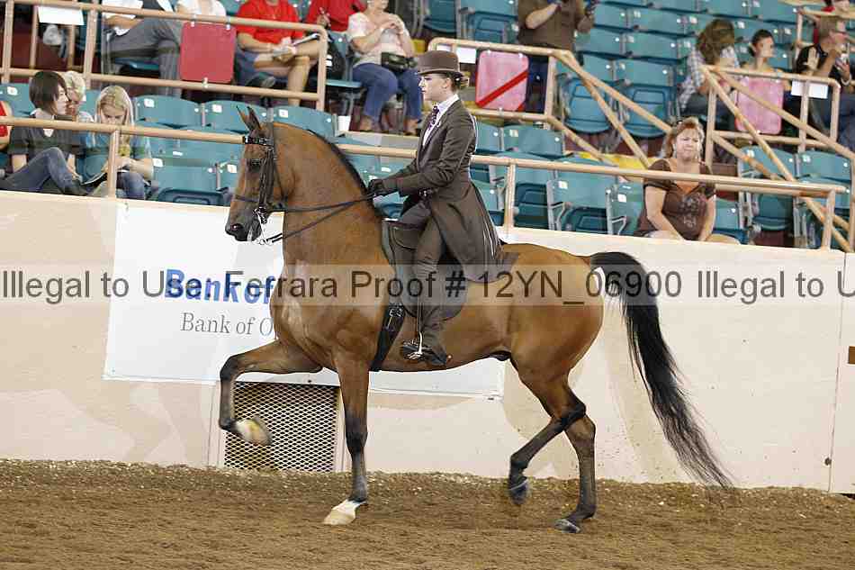 Proof 12yn_06900