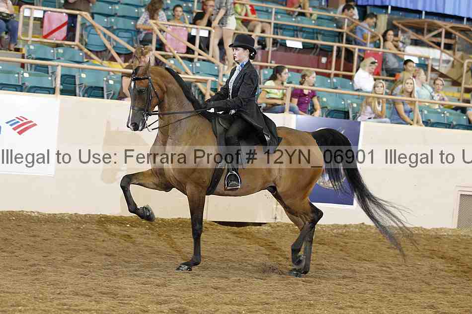 Proof 12yn_06901