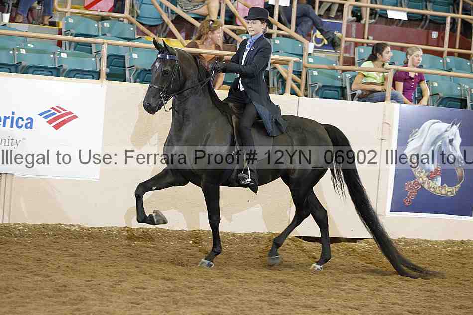 Proof 12yn_06902