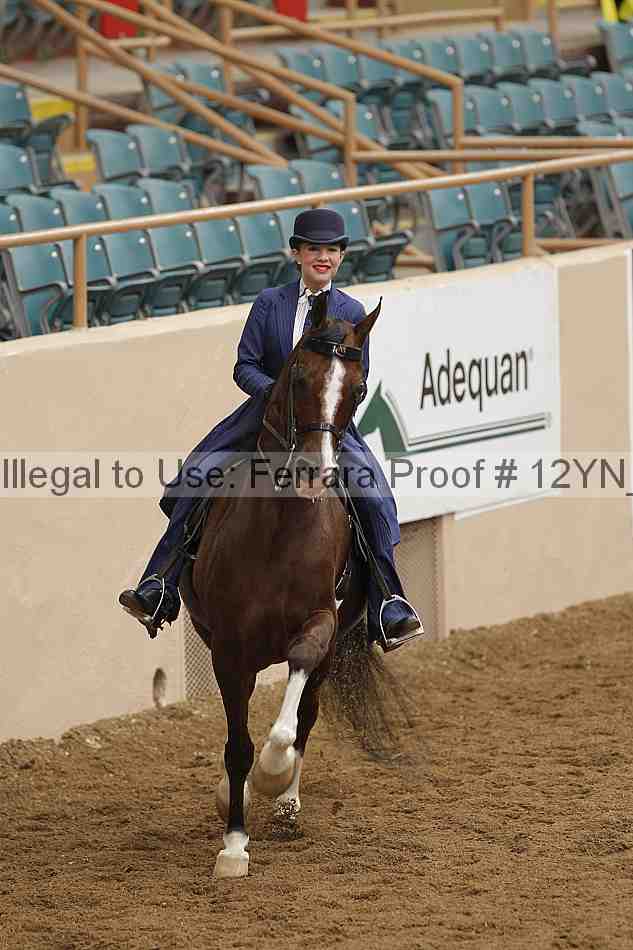 Proof 12yn_06903