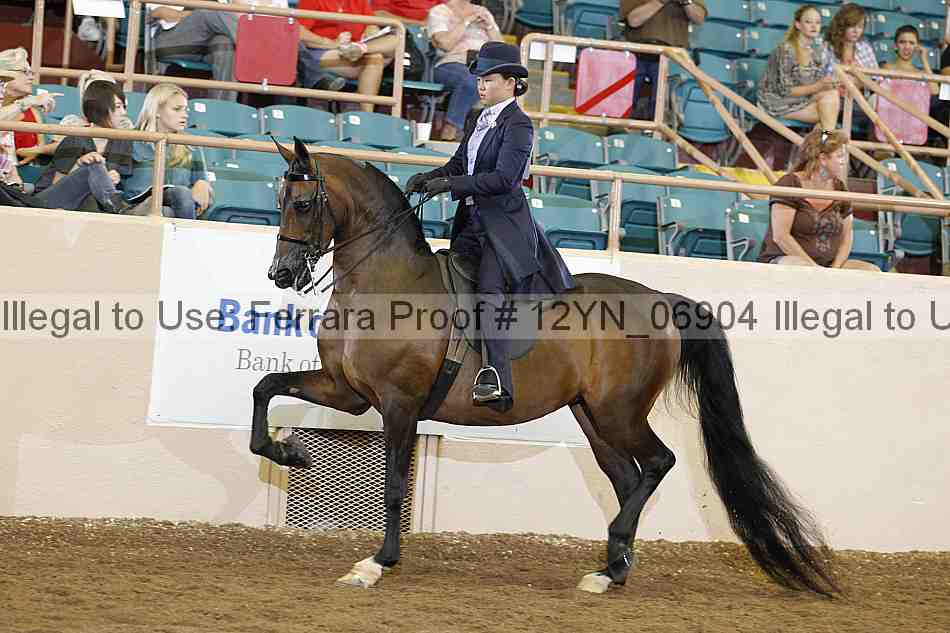 Proof 12yn_06904
