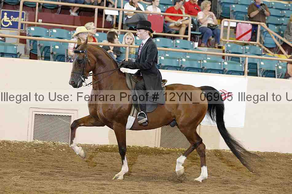 Proof 12yn_06905