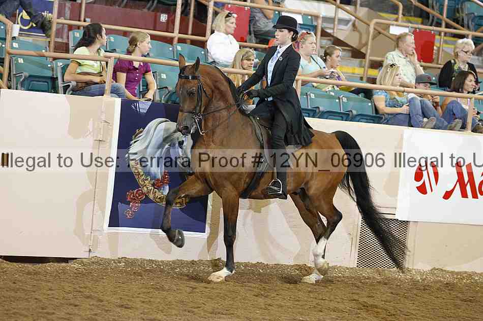 Proof 12yn_06906