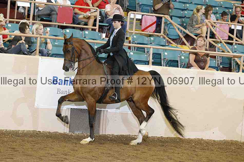 Proof 12yn_06907