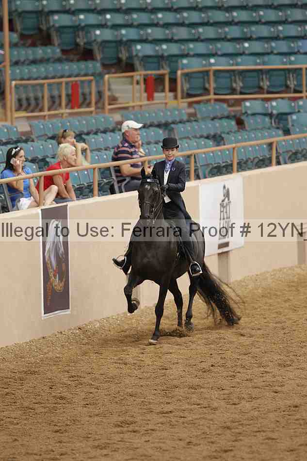 Proof 12yn_06909