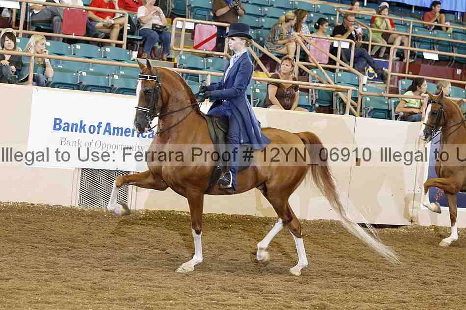 Proof 12yn_06910
