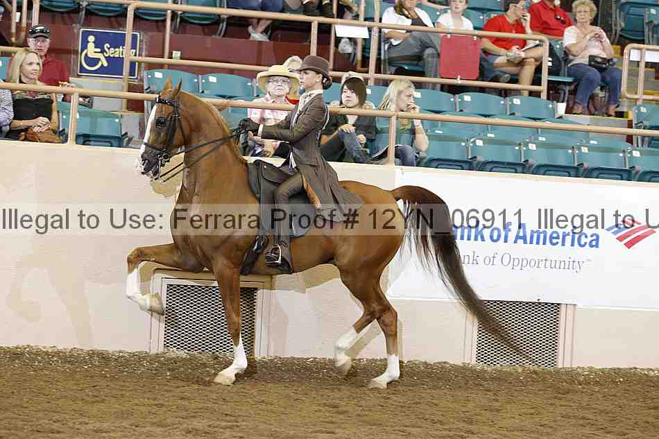 Proof 12yn_06911