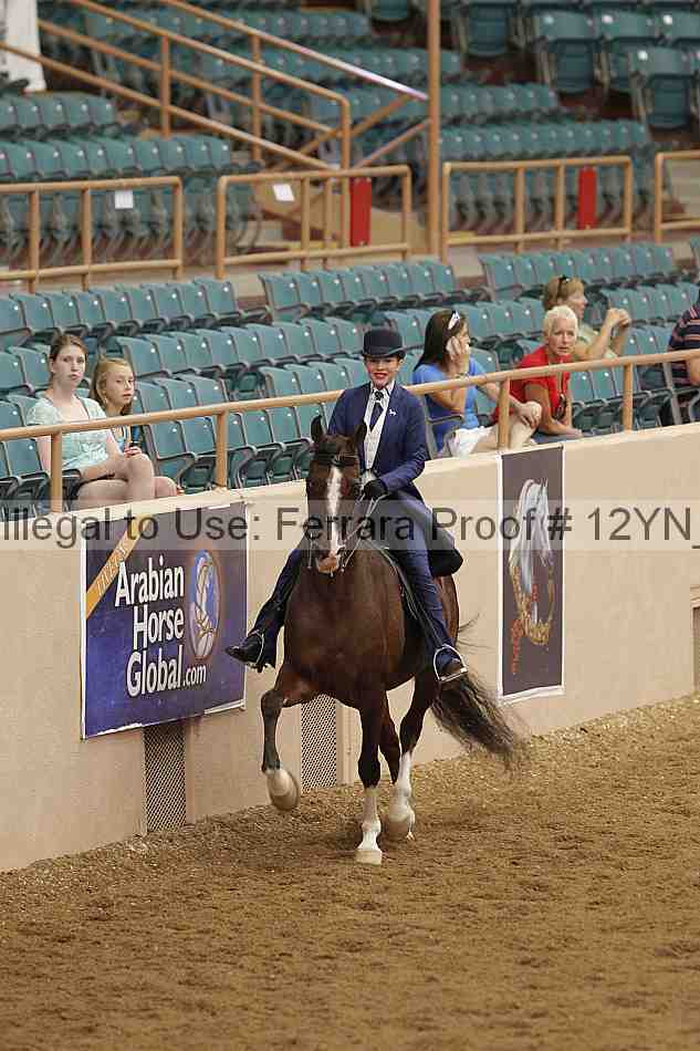 Proof 12yn_06915