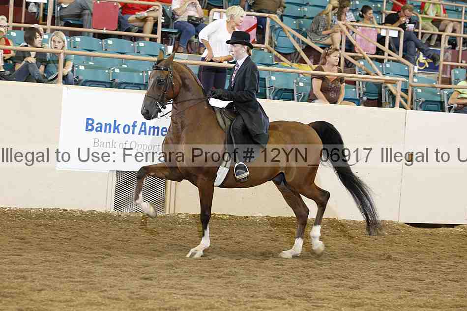 Proof 12yn_06917