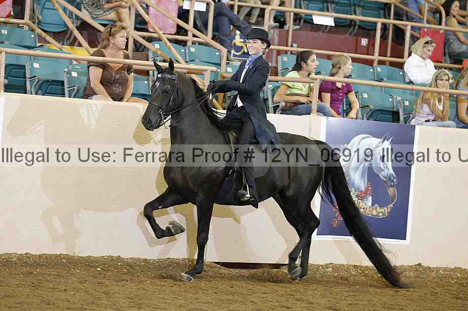 Proof 12yn_06919