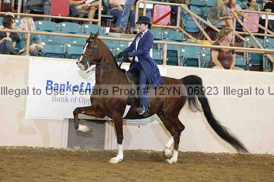 Proof 12yn_06923