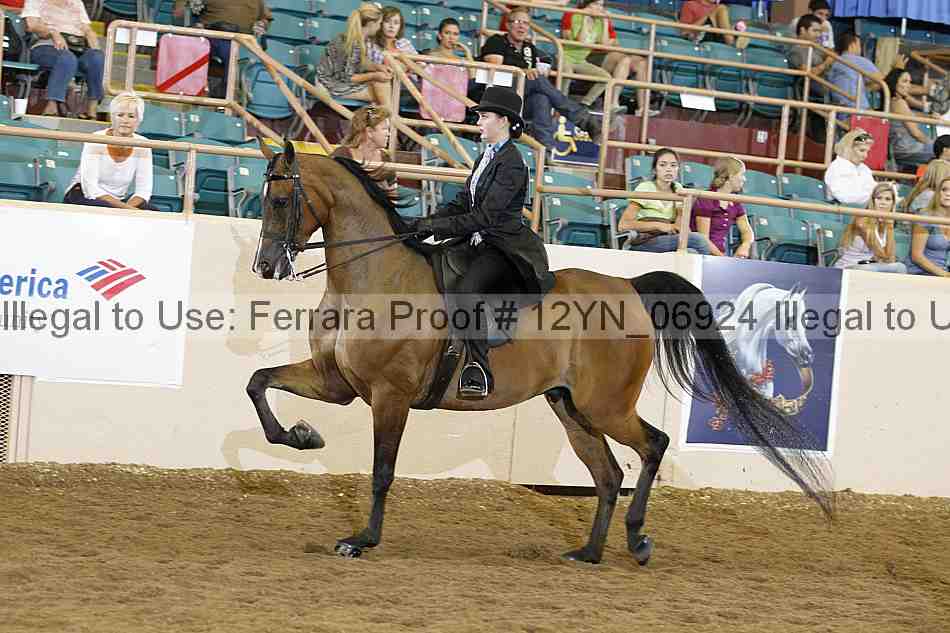 Proof 12yn_06924