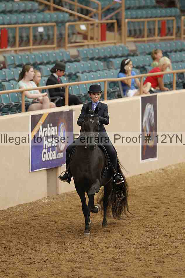 Proof 12yn_06925