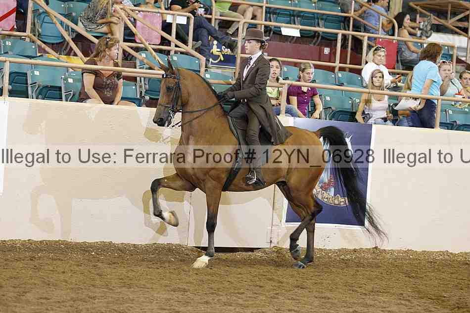 Proof 12yn_06928