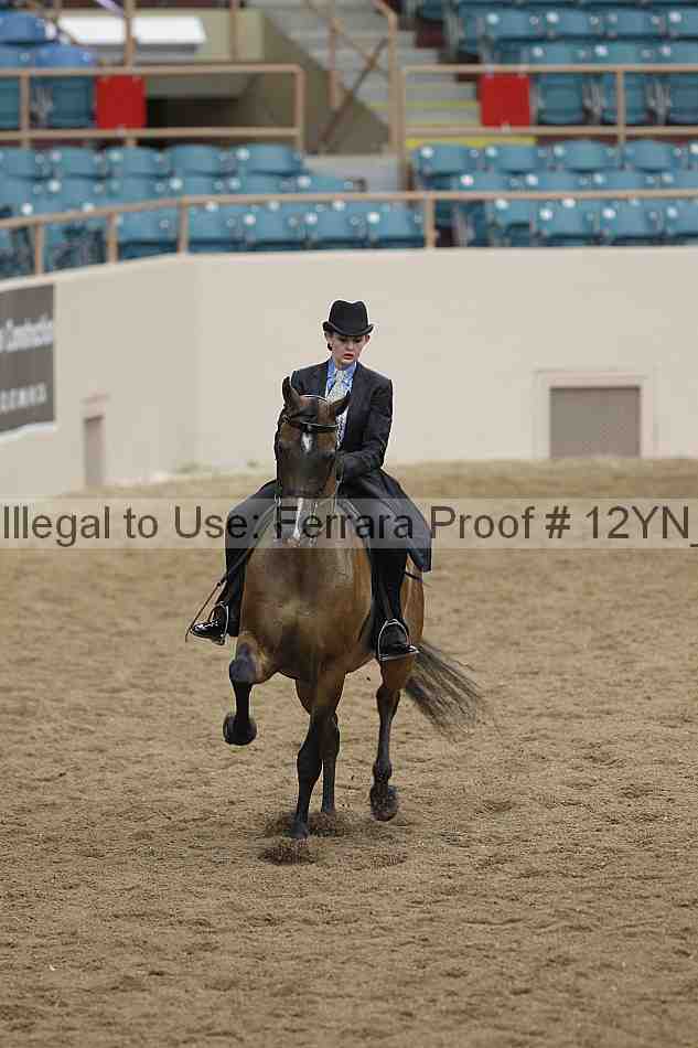 Proof 12yn_06930