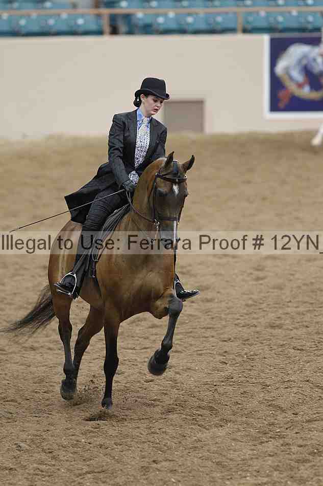 Proof 12yn_06931