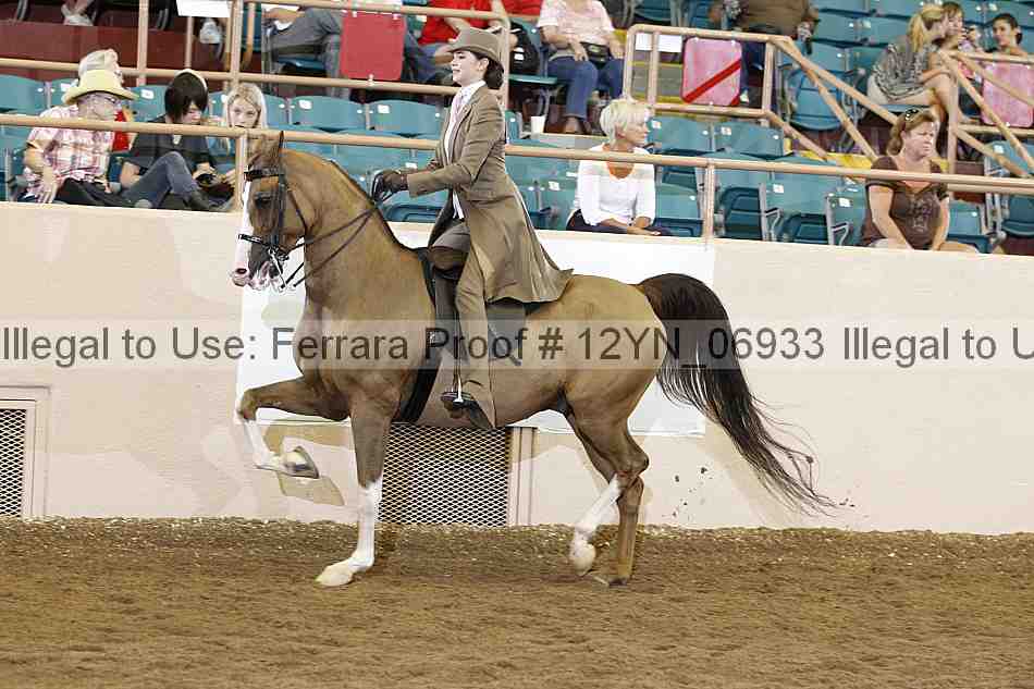 Proof 12yn_06933