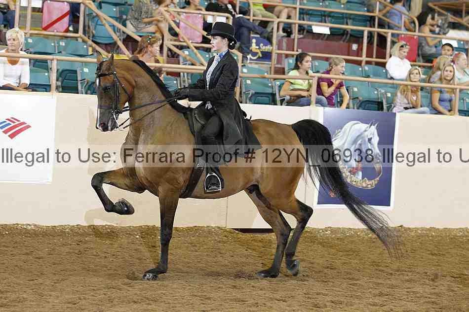 Proof 12yn_06938