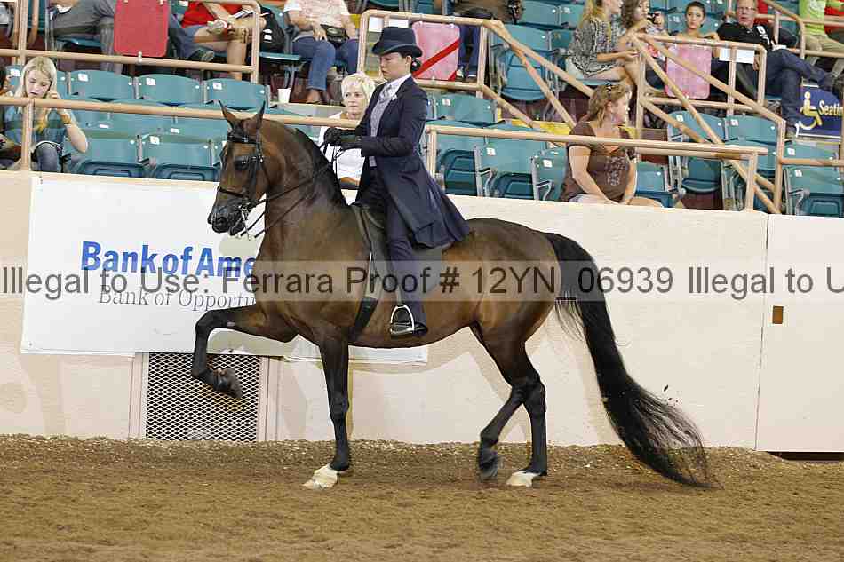 Proof 12yn_06939