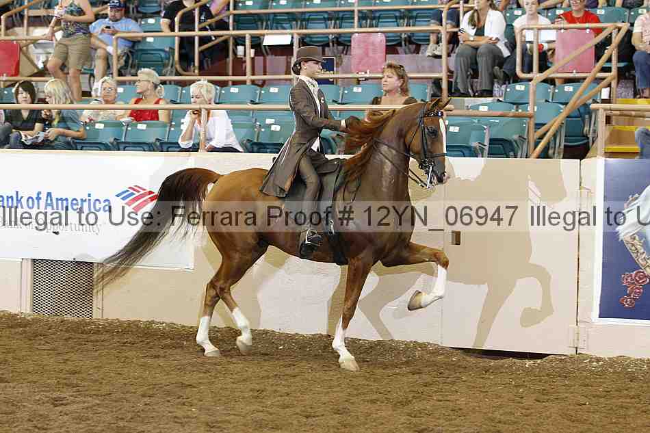 Proof 12yn_06947