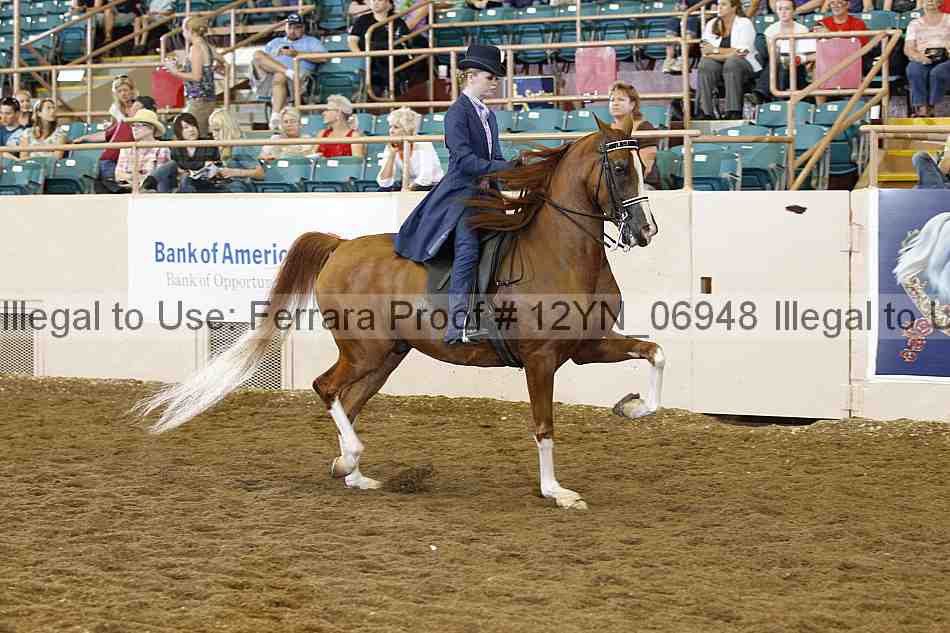 Proof 12yn_06948