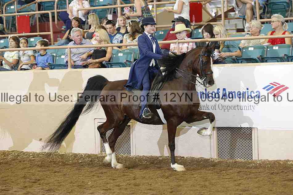 Proof 12yn_06949