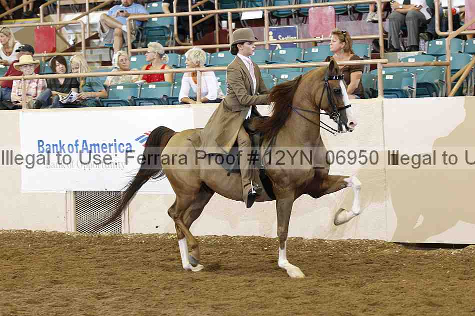 Proof 12yn_06950