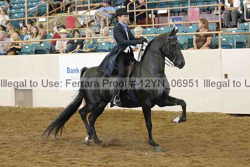 Proof 12yn_06951