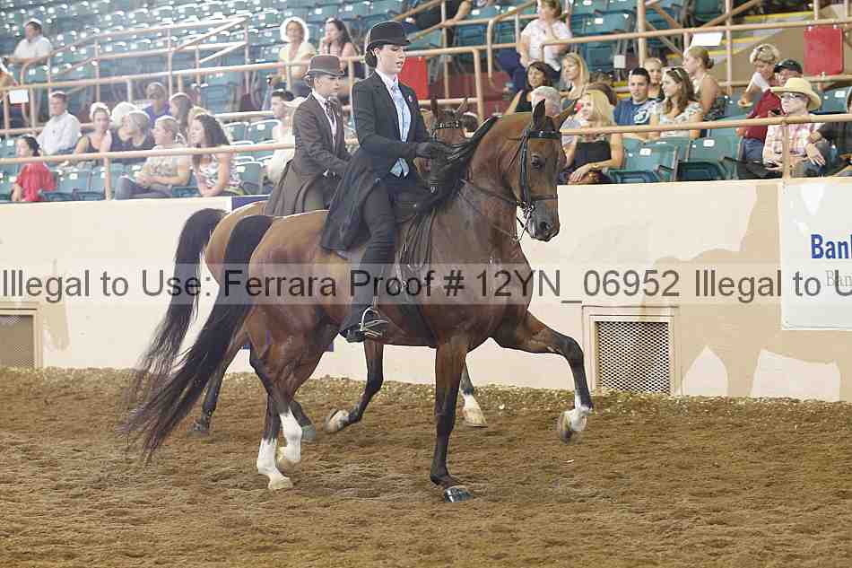 Proof 12yn_06952