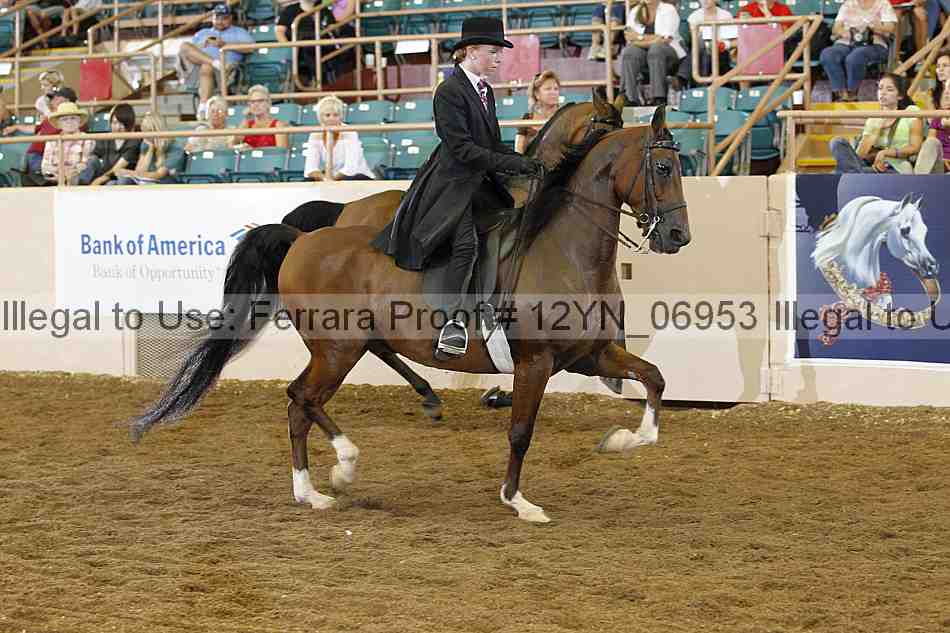 Proof 12yn_06953