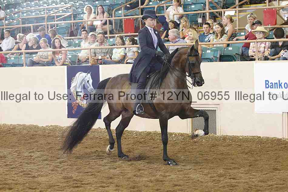 Proof 12yn_06955