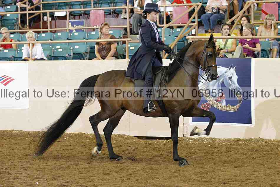 Proof 12yn_06956