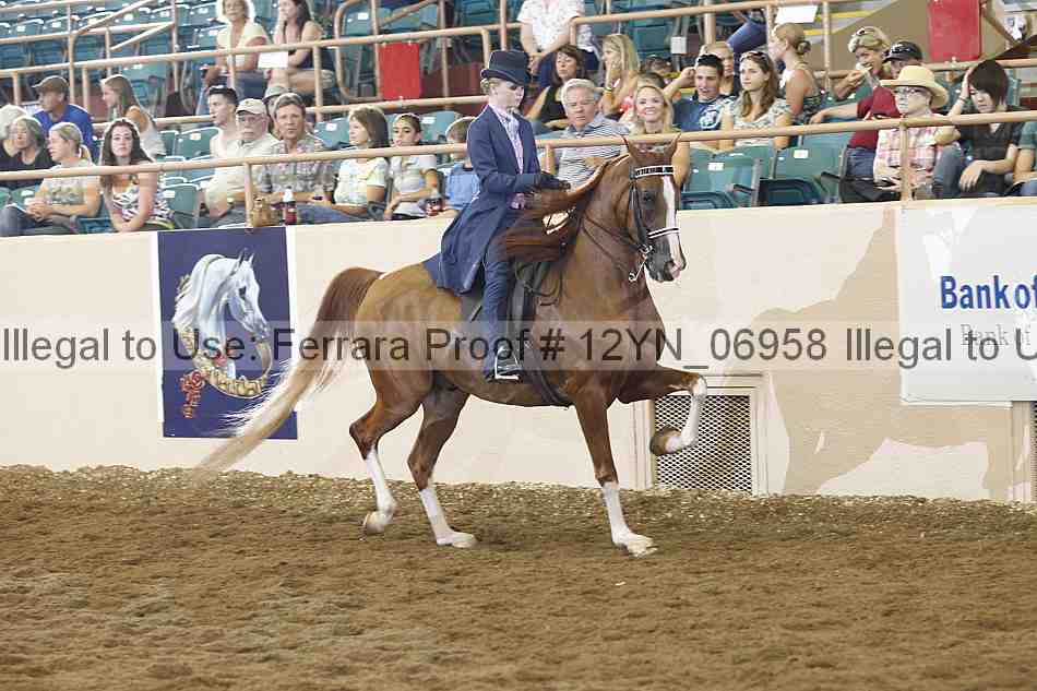 Proof 12yn_06958