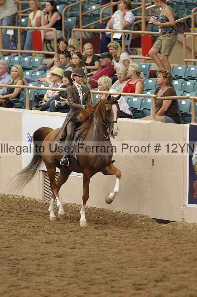 Proof 12yn_06959