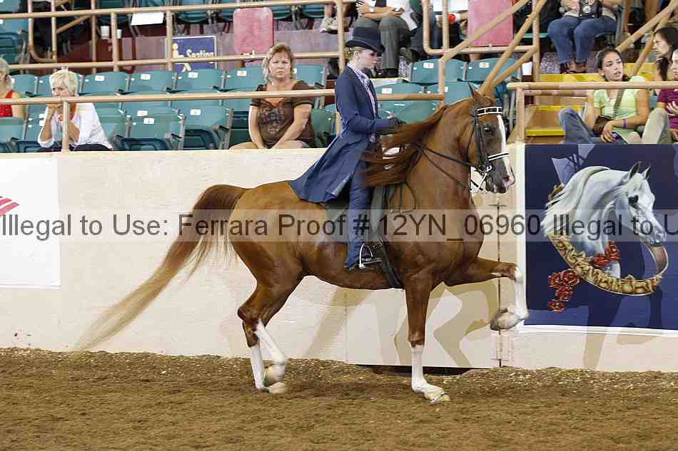 Proof 12yn_06960