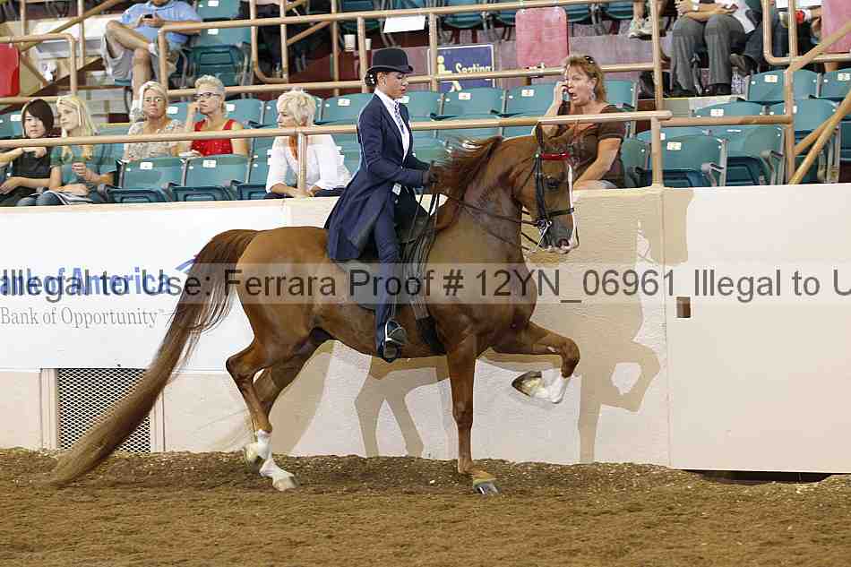 Proof 12yn_06961