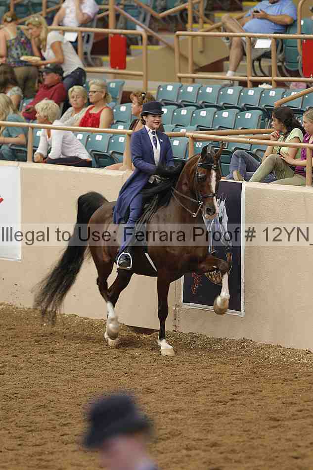 Proof 12yn_06962