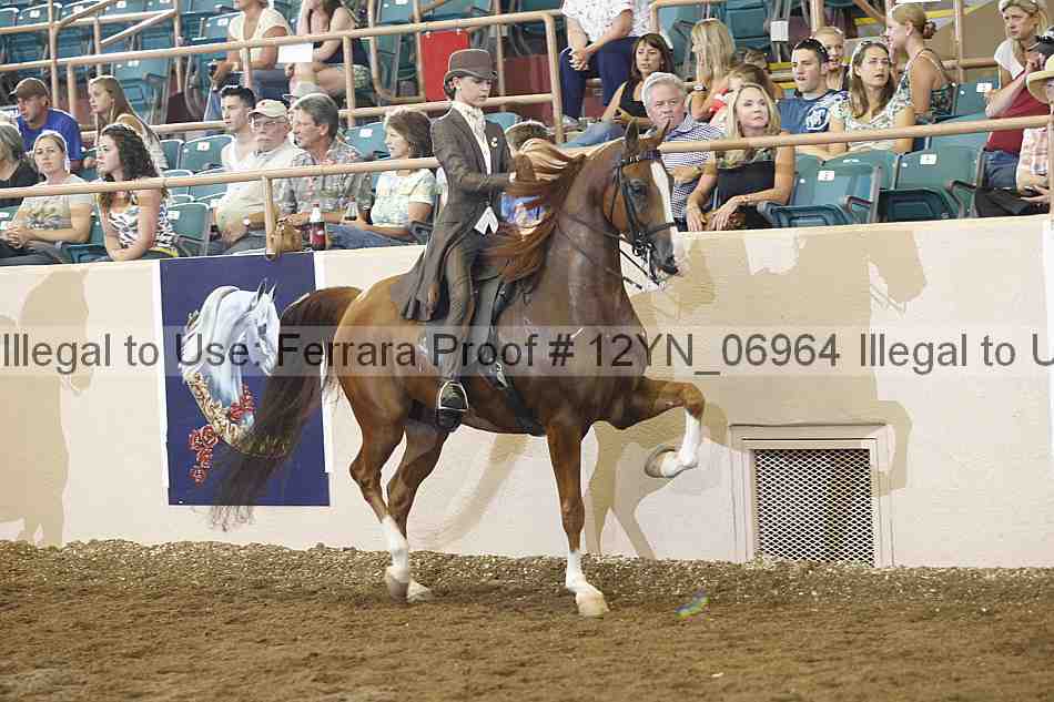 Proof 12yn_06964