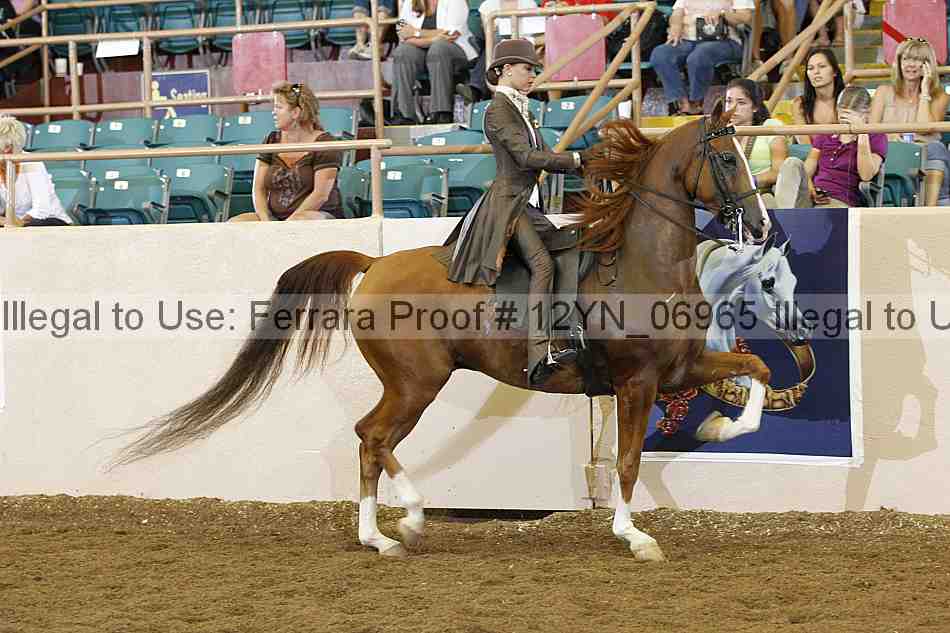 Proof 12yn_06965