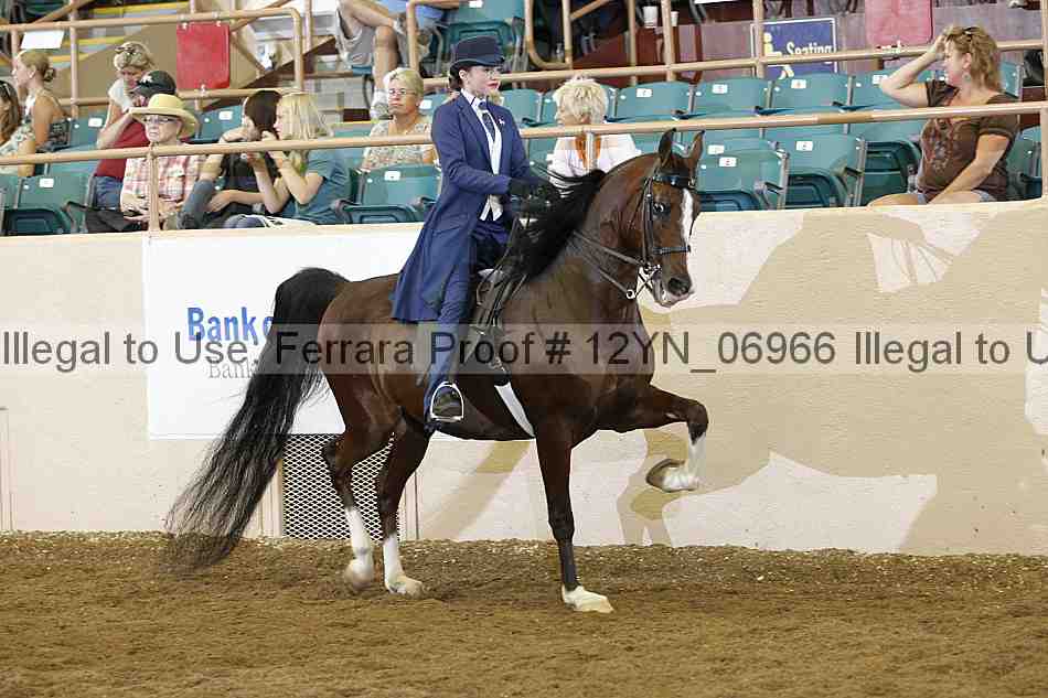 Proof 12yn_06966
