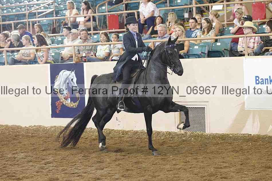 Proof 12yn_06967